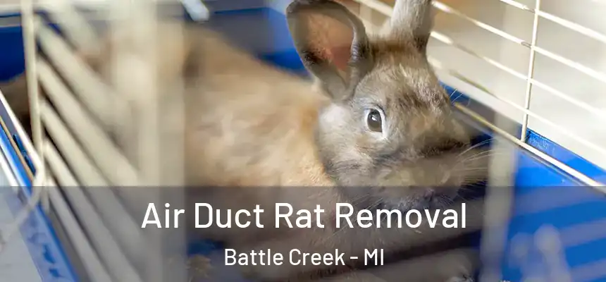  Air Duct Rat Removal Battle Creek - MI