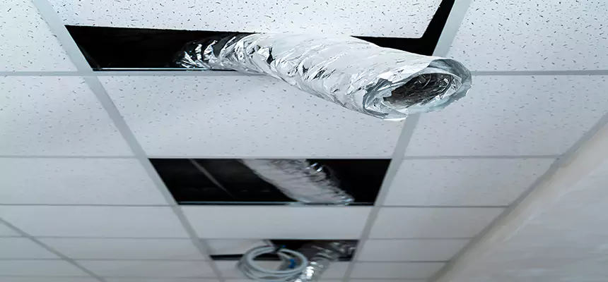 Affordable HVAC Sanitizing After Pest Removal in Battle Creek