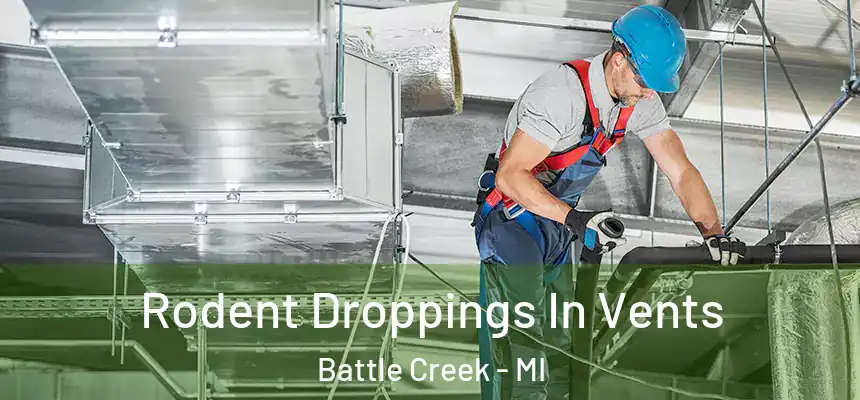  Rodent Droppings In Vents Battle Creek - MI