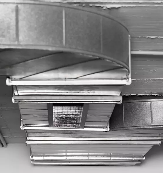 Professional Air Duct Pet Hair Removal in Battle Creek, MI