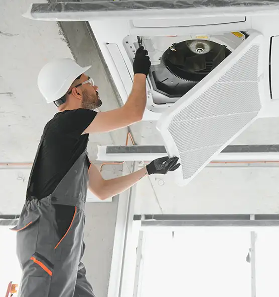 About Air Duct Rodent Removal in Battle Creek, MI